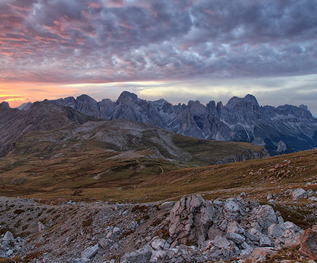 sunrise Rosengarten