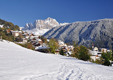 Tiers am Rosengarten