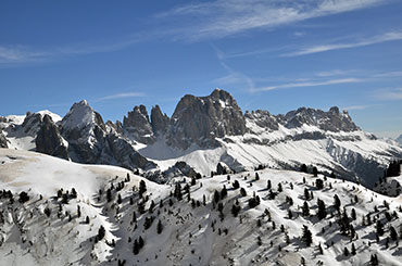 Der Rosengarten